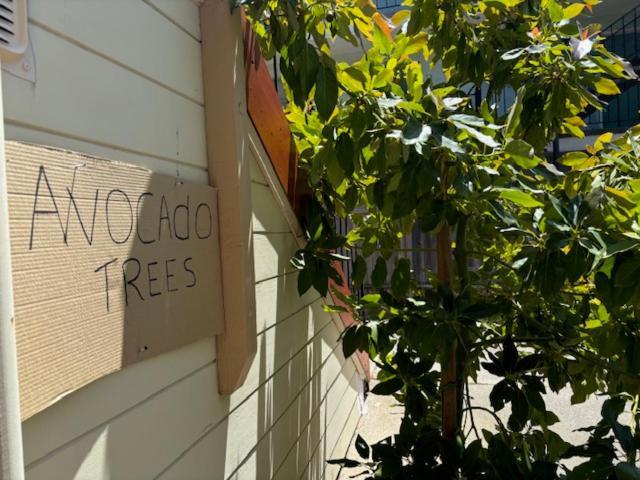 Alameda 2 Bedroom 2 Ba Apt, Ac, 3 Blocks To Beach & Shopping Center & Free Parking エクステリア 写真
